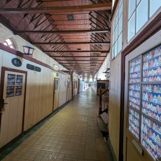 PXL_20240501_131038794