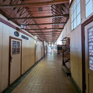 PXL_20240501_13110190401a057ba303524fd