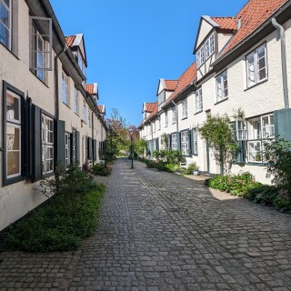 PXL_20240501_135223307