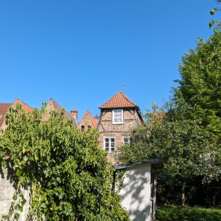 PXL_20240501_135904769