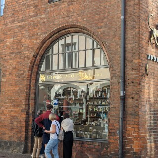 PXL_20240501_142937881b7a0f93f9b869542