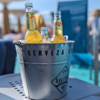 PXL_20240502_150308636.PORTRAIT