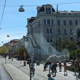 PXL_20240503_103752333