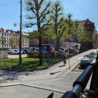 PXL_20240503_110208334