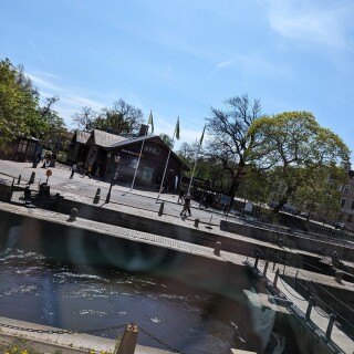 PXL_20240503_111609753