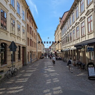 PXL_20240503_125204533.MP