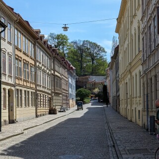 PXL_20240503_130819338