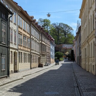 PXL_20240503_130824170