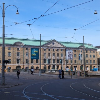 PXL_20240503_133145697