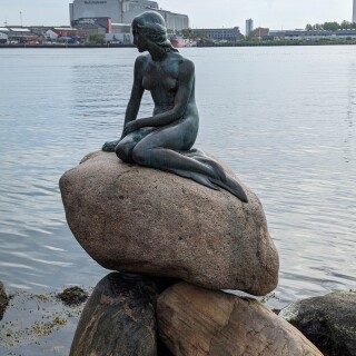 PXL_20240504_074348355.MP