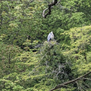 PXL_20240504_111020568