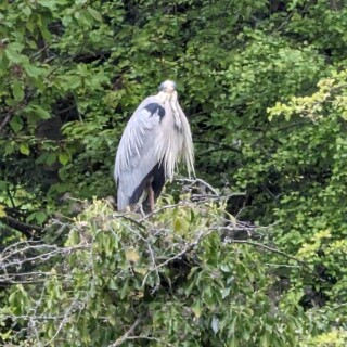 PXL_20240504_111029884