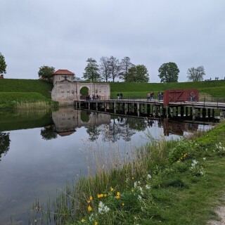 PXL_20240504_113635960.MP