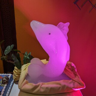 PXL_20240504_172645548