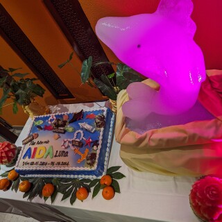 PXL_20240504_172722349.MP