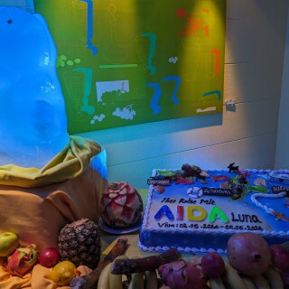 PXL_20240504_173103136